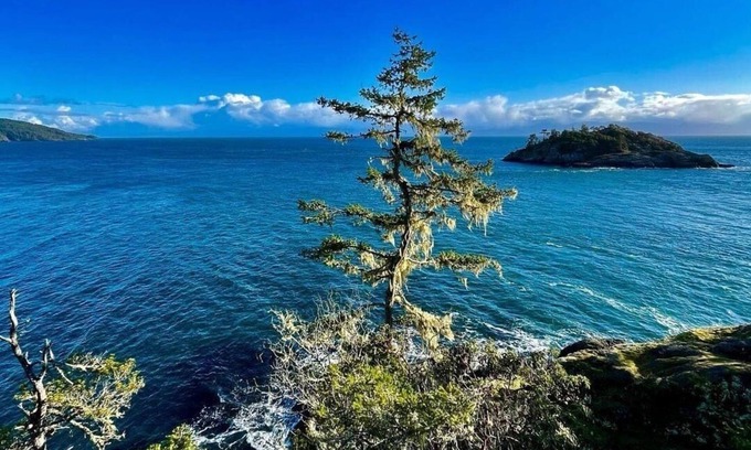 Sooke House | Sea Shell Cove Family/Pet friendly|New Beds & 5 minutes from the beach!
