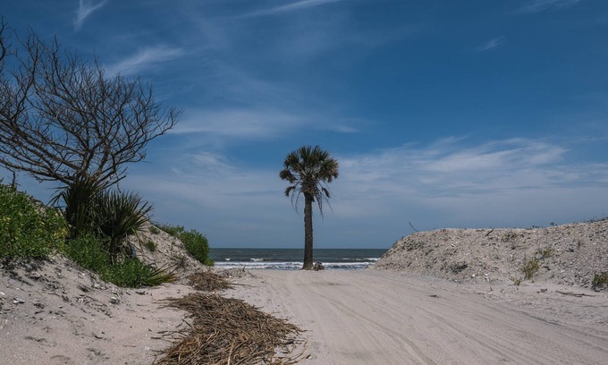 Edisto Island House | Seaclusion:Private Beach Access; Luxury Showplace in Gated Community w/Water Views