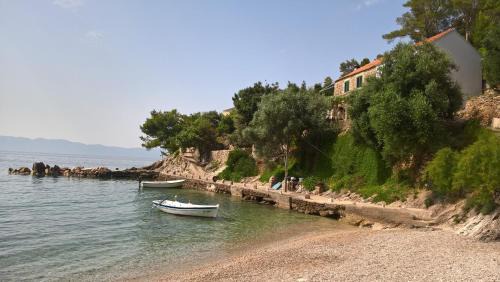 Gdinj Apartment | Seaside secluded apartments Cove Torac, Hvar - 4875