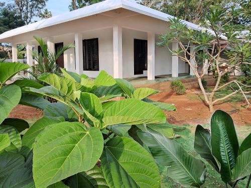Mararikulam Apartment | Sebastian's Oasis