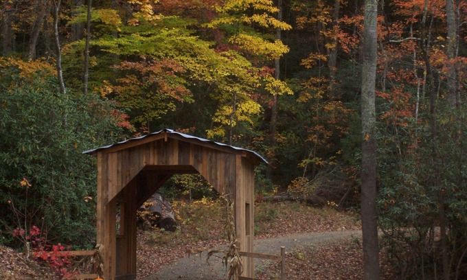 Asheville Cabin | Secluded and private/Hot Tub/Wood Fire-place/15 min-downtown Asheville/wifi/