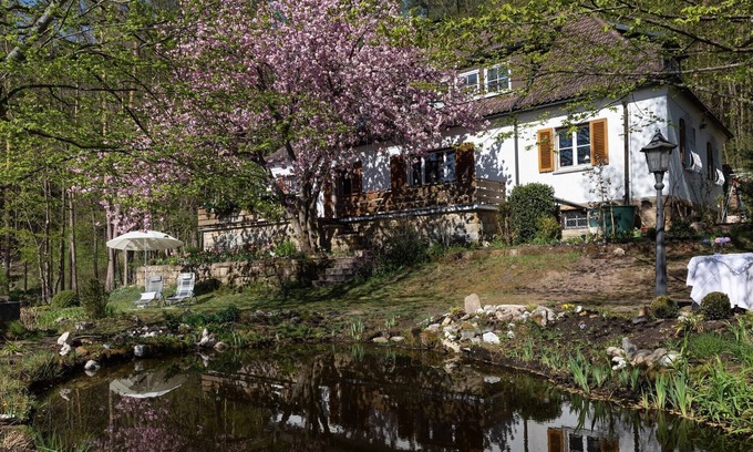 Weissenbrunn Apartment | Secluded Apartment in Weißenbrunn with Garden