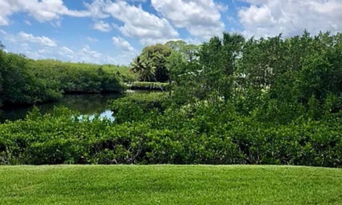 Stuart Condo | Secluded, cozy townhome on Manatee Creek, set in historic Port Salerno.