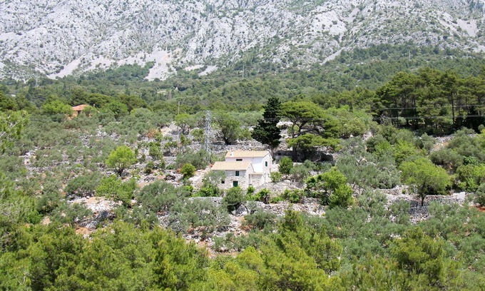 Zivogosce House | Secluded holiday house Živogošće - Mala Duba, Makarska (K-19811)