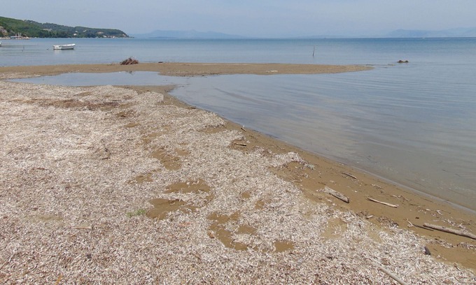 Molos Apartment | secluded, quiet studio 190 m from the beach for 2-4 persons