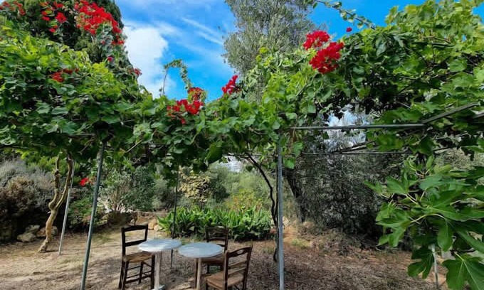 Kouvalata Apartment | Secret Garden Hideaway in Kefalonia