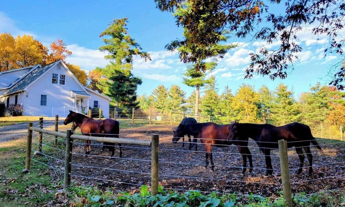 Belchertown Apartment | Serene 1-bedroom suite on 65 acre horse property