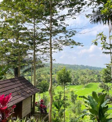 Tetebatu House | Serenity Lodge Tetebatu Lombok
