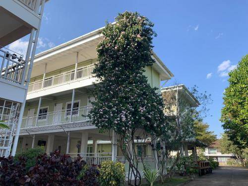 Nang Lae Apartment | Serviced apartment ∙ 2 guests