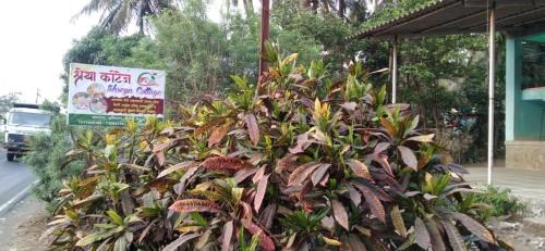 Vaishet Villa | Shreya Cottage, Vaishet-Alibag