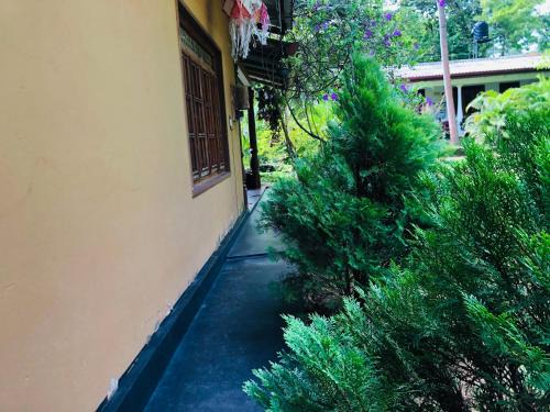 Sigiriya House | Sigiriya Mirror wall Guest house