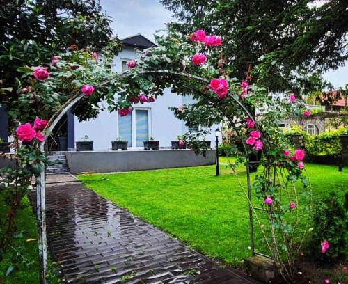 Veliko Gradiste House | Silver Rose apartman