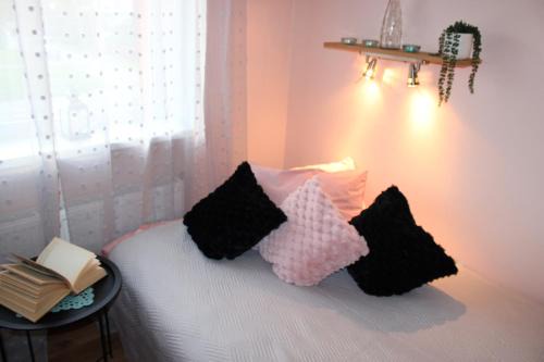 Parnu Apartment | Simple Small Studio