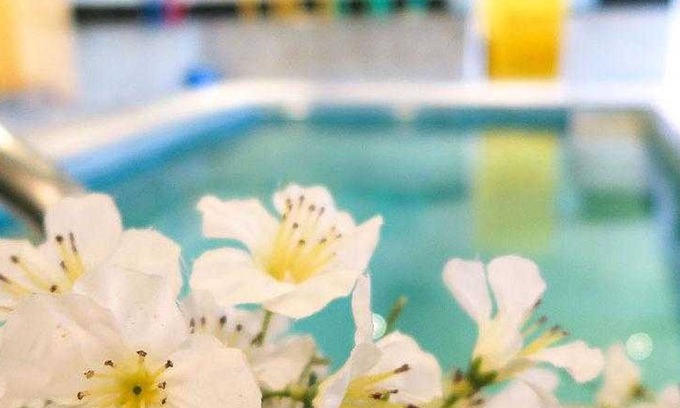 Badenweiler Hotel | Single Room Economy - Top CCL Hotel Ritter Badenweiler Ganter Reiner