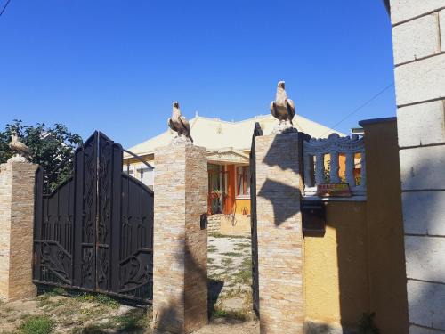 Moldova House | SION In Ulmu