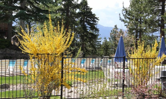 Tahoe Tyrol Ski Chalet | Ski Chalet 2 Bdrm,2 Bath +Loft, Near Heavenly… availability 30 nights plus