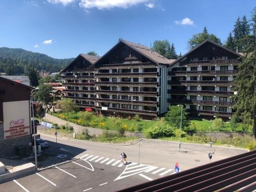 Predeal Apartment | Ski Terrace Heaven Partia Clabucet