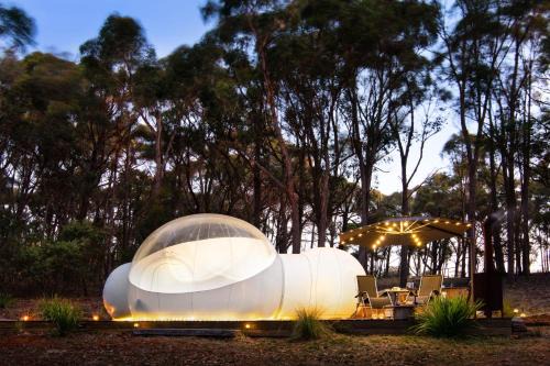 Eganstown Other | Skyview Bubbletent