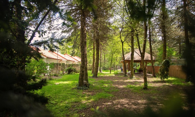 Niepolomice Hotel | Sleep at birdy countryside, only 5 km from Niepołomice. Breakfast included.