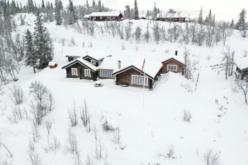 Al House | Sletthovdun 151