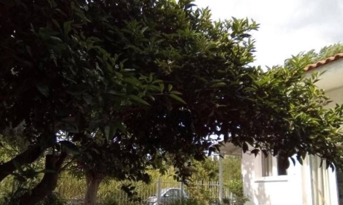 Marathon Villa | Small Vila nearby the beach and the center of the marathon