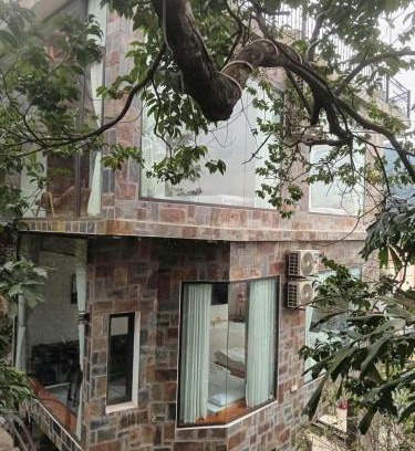 Tam Dao Apartment | Smile Villa