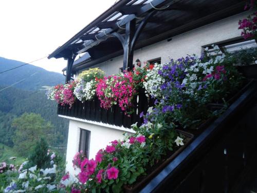 Zgornja Sorica Apartment | Sobe Tanja