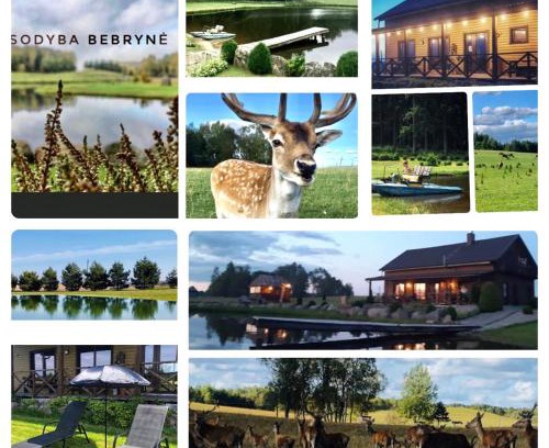 Renavas Villa | Sodyba Bebrynė