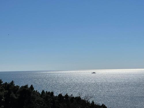 Ulcinj Apartment | SOHO Apartments