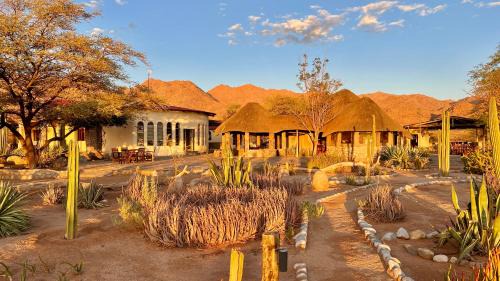 Solitaire Cabin | Solitaire Mountain Lodge