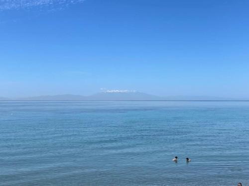 Kassandra Apartment | “Sound of the sea” first line studio