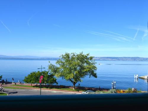 Evian-les-Bains Apartment | Spacieux appartement à Évian, proche centre et lac, pour 5 personnes, animaux acceptés - FR-1-498-7