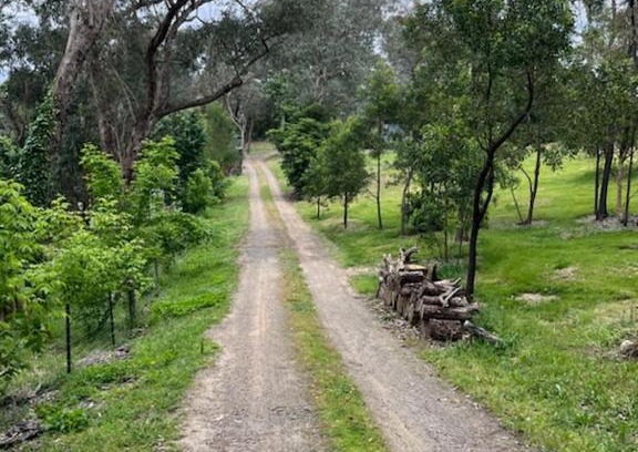 Warrandyte House | Spacious 4 bed, 2 lounge, 2 bath, Acre home with tree top views - Yarra Valley Gateway!