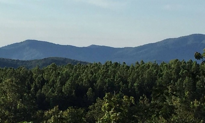 Batesville Apartment | Spacious apt: hot tub, mountain views, stream & pond on peaceful 25 acre estate