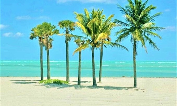 Key Biscayne Apartment | Spacious One Bedroom with Pool minutes to the Beach -