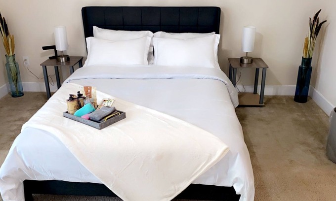 Silver Spring Apartment | Spacious space in the heart of Silver Spring.