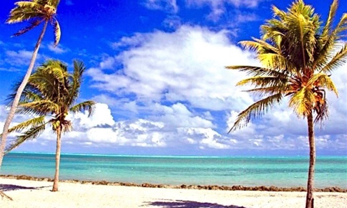 Key Biscayne Apartment | Spacious Two Bedroom with Pool close to the Beach -
