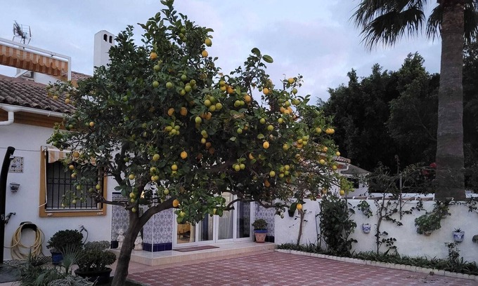 Vergel House | Spanish villa for 2 to 7 people 400m from the beach!