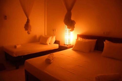 Udawalawa Villa | Sparrow house and safari resort