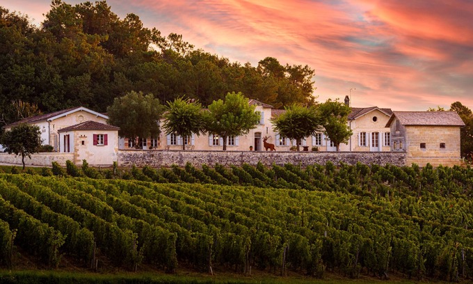Samonac Other | Splendid chartreuse in the heart of its vineyards