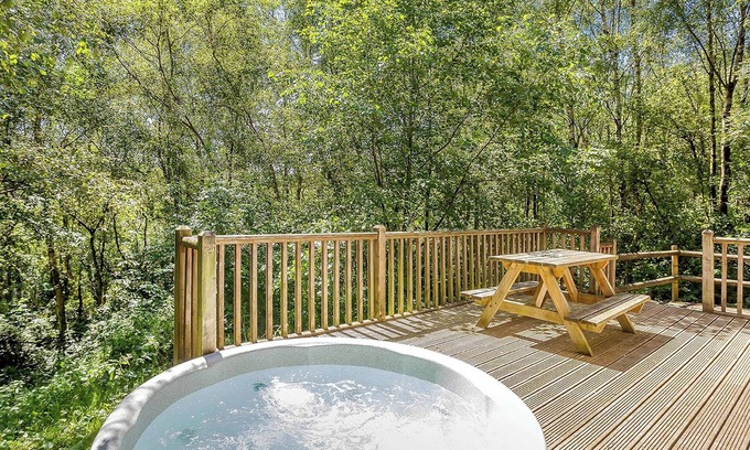 Freehay Ski Chalet | Squirrel Log Cabin 4