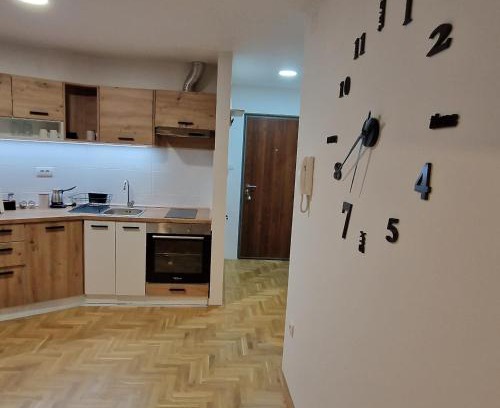 Pozarevac Apartment | Stan na dan Apartman S