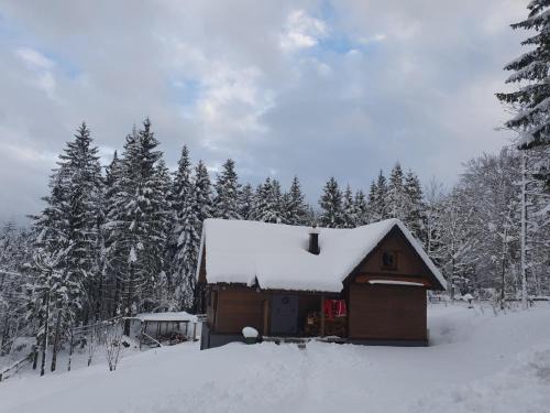 Ravna Gora House | Starry Laz mountain house