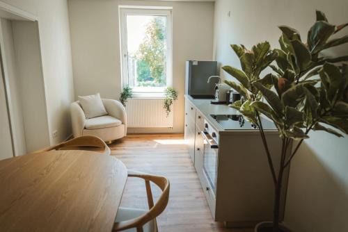 Celle Apartment | Staylight Apartment in Celle - 3 Schlafzimmer, zentrale Lage am Französischen Garten, inkl Parkplatz, Küche und Kaffee