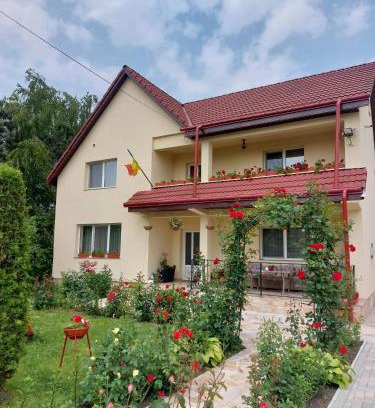 Tirgu Neamt House | Steaua Nordului