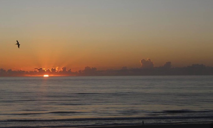 Daytona Beach Shores Apartment | Steps to a beautiful beach Gorgeous Ocean Views!