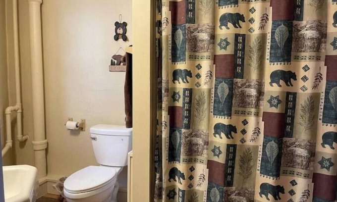 Loveland Apartment | Stoney River Lodge - Unit 6 - Bear