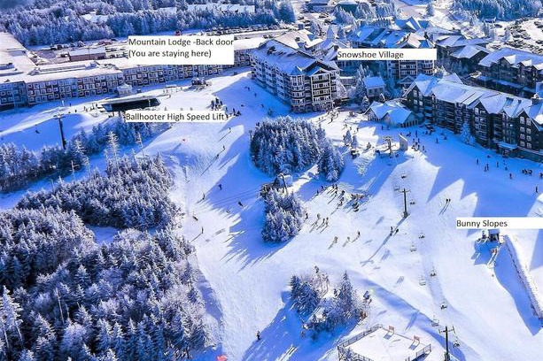 Snowshoe Apartment | Stroll to Slopes Village Area Ski in-out Unit 351