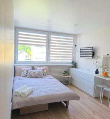 Druskininkai Apartment | Studio 11