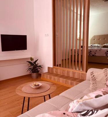 Canton 10 Apartment | Studio apartman Ana